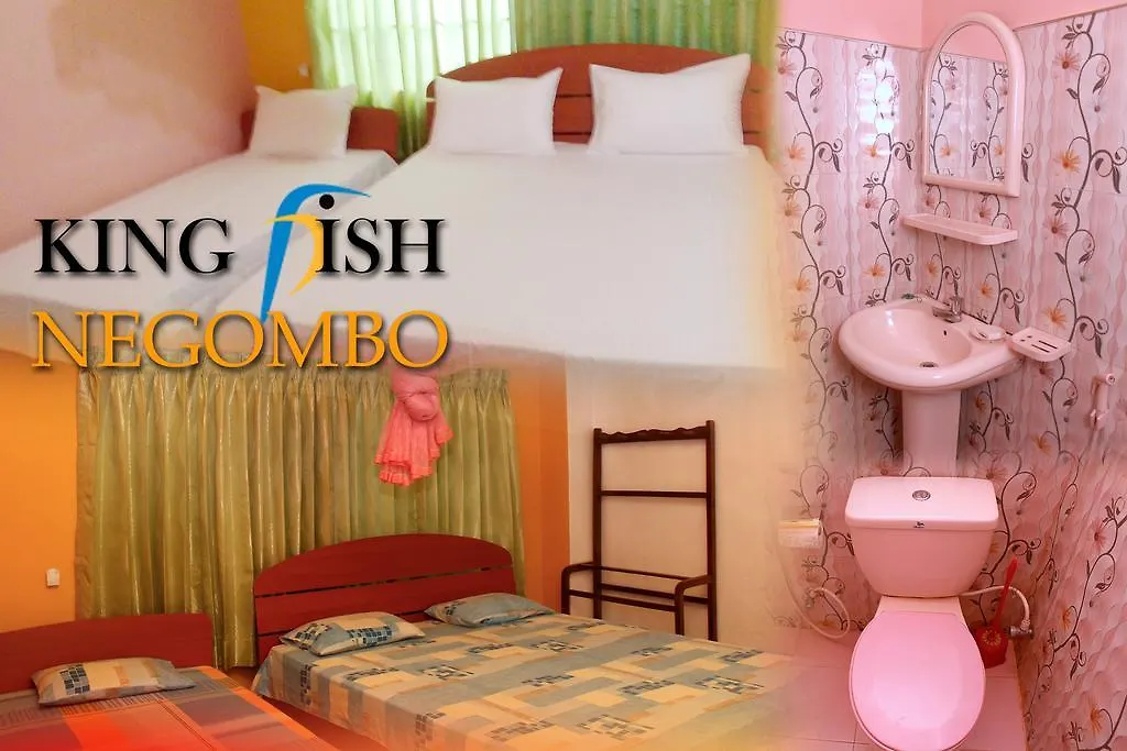 King Fish Guest House Negombo