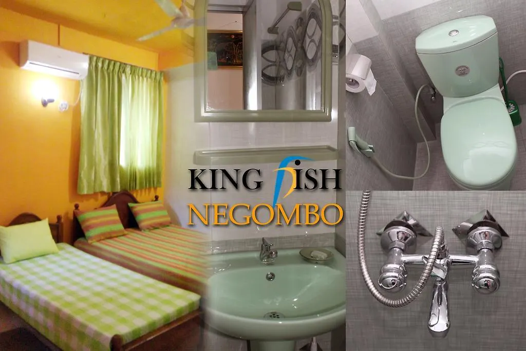 King Fish Guest House Negombo