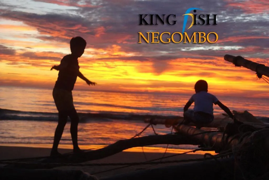 King Fish Guest House Negombo 0*,  Sri Lanka