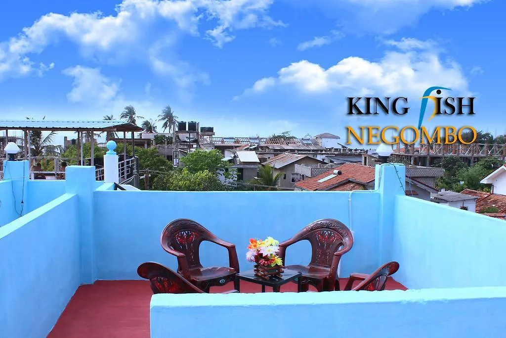 King Fish Guest House Negombo Sri Lanka