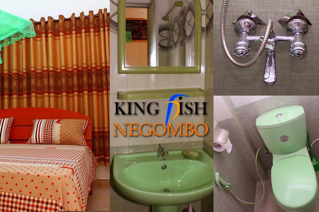 King Fish Guest House Negombo 0*,