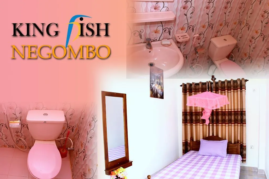 King Fish Guest House Negombo Sri Lanka