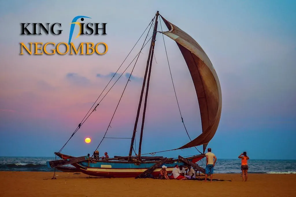 King Fish Guest House Negombo Sri Lanka